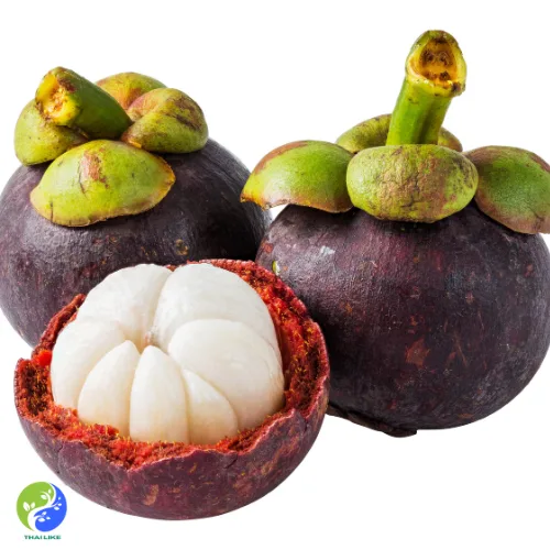 Mangosteen in Thailand