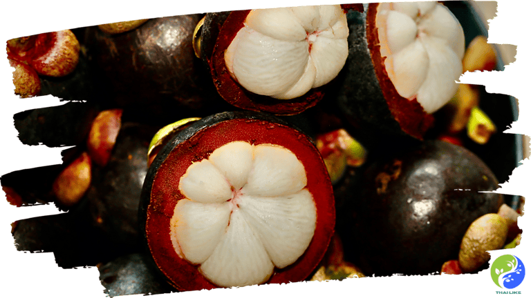 The Mangosteen